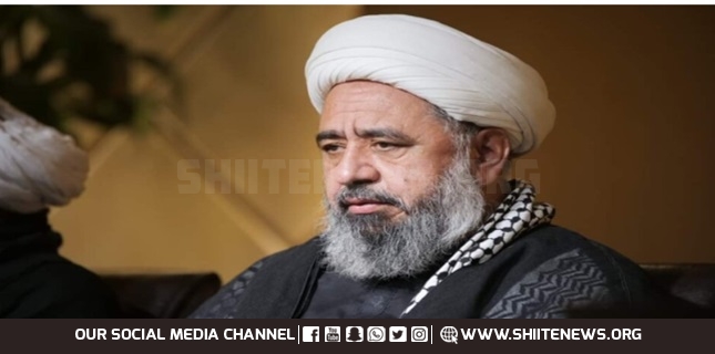 Gaza is red line between Islam and disbelief, Allama Shaheedi