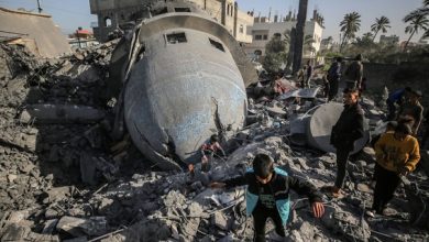 ‘200 days of livestreamed genocide’ Netizens react as Gaza war marks 200 days