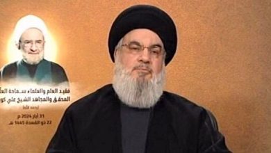 Nasrallah Israel has no place in region's future; cancerous tumor must be eradicated