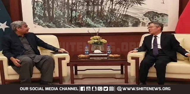 Protection of Chinese citizens Pakistan’s top priority: Mohsin Naqvi