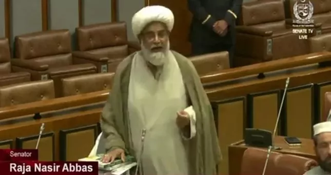 America should not be angry, people should be hanged, Allama Raja Nasir Abbas