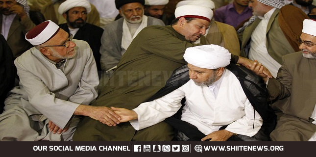 Instigators of differences between Shias and Sunnis have nothing to do with Islam, Scholars