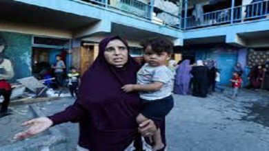 Israel bombs school sheltering displaced Palestinians in Gaza, kills 16