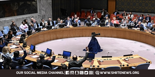 Algeria, China, Russia blast Israel at UNSC over Haniyeh assassination