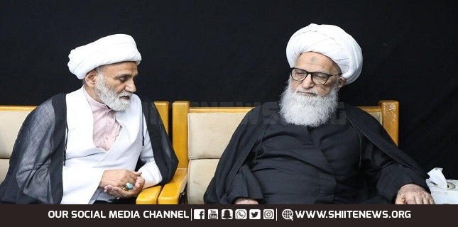 Shia Ulema Council VP meets with senior cleric Ayatollah Hafiz Bashir