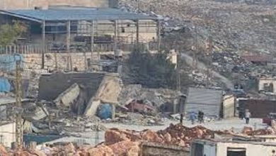 Syria condemns Zionist enemy's targeting of Syrian family in southern Lebanon