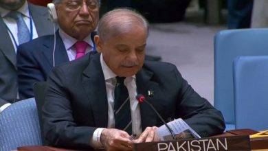 Pakistan demands arms, trade embargo on Israel amid Gaza genocide