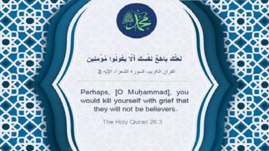 The Prophet Muhammad (PBUH) from perspective of Imam Ali (AS)