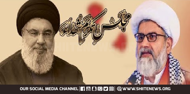 Senator Allama Raja Nasir meets Iranian Ambassador along with delegation