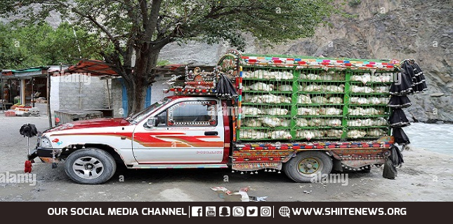 Fatwa Outcome: Truck full of chickens going to Parachinar robbed