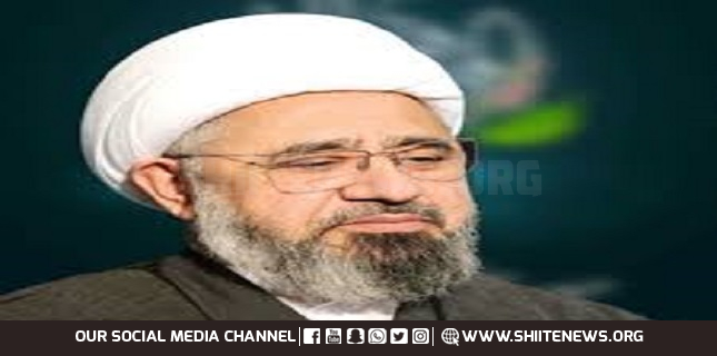 Takfiris remained silent on killing of Sunni in Gaza, Allama Amin Shaheed