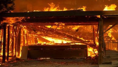 Los Angeles under siege Looters, thieves targeting evacuation zones in fire-wracked city