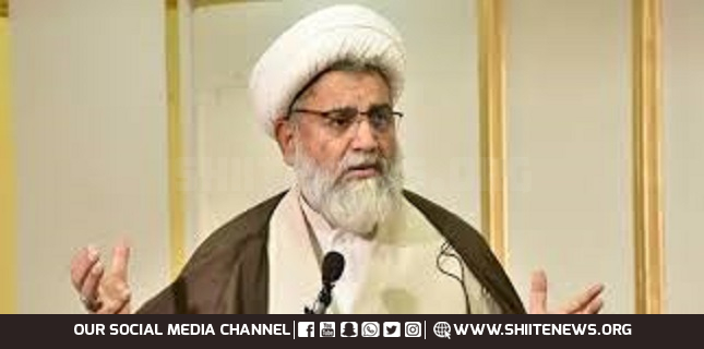 Pakistan cannot function without politicians and people, Senator Allama Raja Nasir Abbas