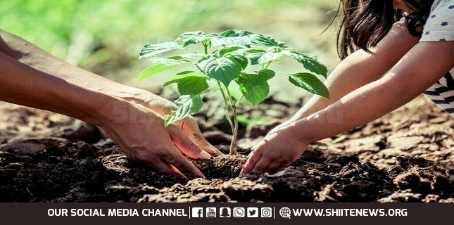 Allama Domki takes part in tree plantation campaign in Jacobabad