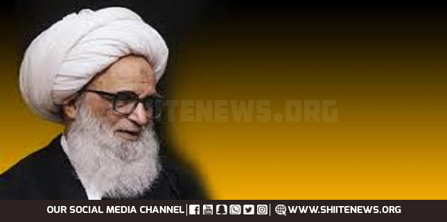 Allama Shafqat Hussain Shirazi meets Ayatollah Bashir Hussain in Najaf