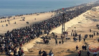 Zionist enemy decides to establish special administration to displace residents of Gaza