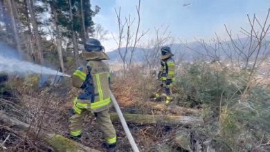 Japan deploys nearly 1,700 firefighters to tackle forest blaze