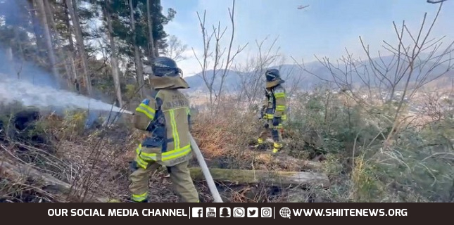 Japan deploys nearly 1,700 firefighters to tackle forest blaze