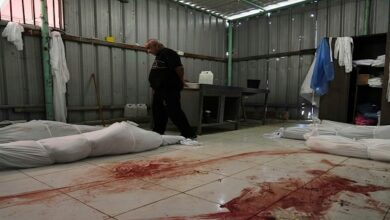 Amnesty Intl accuses 'Israel' of 'live-streamed genocide' in Gaza