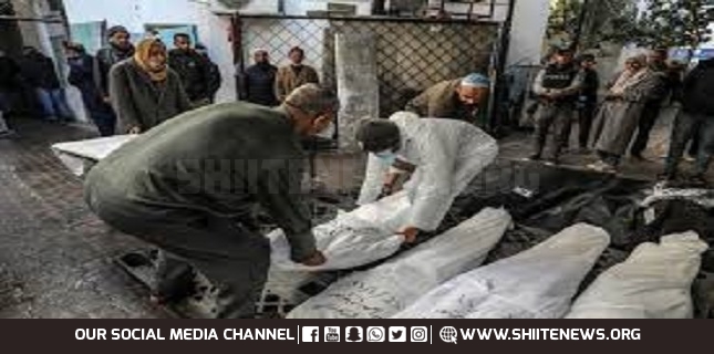 Deadliest day in fortnight: Israel kills almost 80 Gazans in attacks on UN clinic, refugee sites