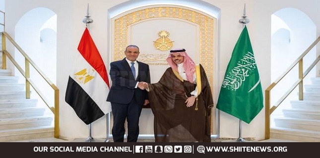 Saudi and Egyptian foreign ministers hold talks on cooperation, discuss situation in Gaza