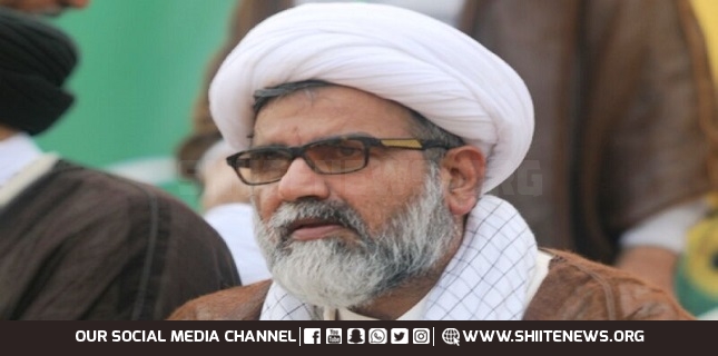 Senator Allama Raja Nasir Abbas Jafri elected MWM Chairman