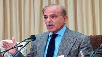 India failed to share any evidence on Pahalgam incident, says PM Shehbaz