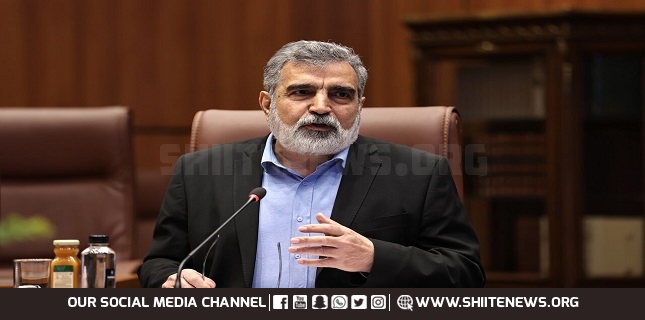 Iran is not the only state enriching uranium without having nuclear arms: Official