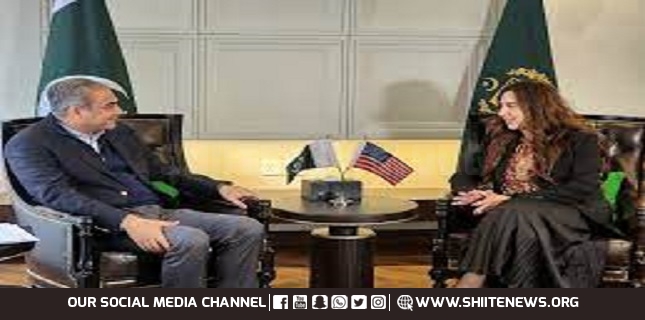 Pakistan interior minister meets US envoy, conveys ‘serious concerns’ over India strikes