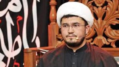Representatives of Form 47 lack morality, Allama Ali Hasnain