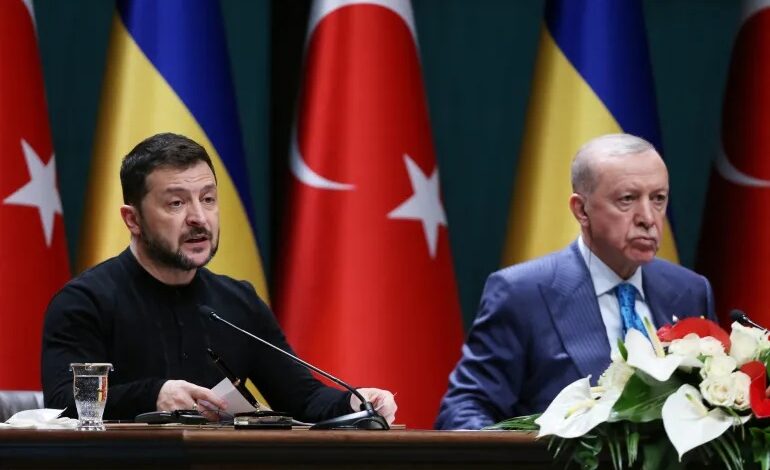 Russian, Ukrainian Delegations Meet in Istanbul as Erdogan Hosts Zelensky