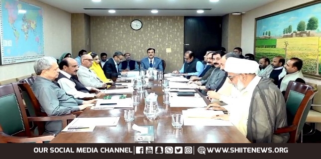 Senator Allama Raja Nasir Abbas attends Senate Committee meeting
