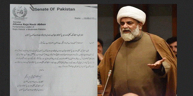 Allama Raja Nasir Abbas Jafri highlights issue of Allama Wijdani in Senate bodies