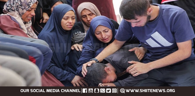 Gaza aid system ‘leads to mass killings’