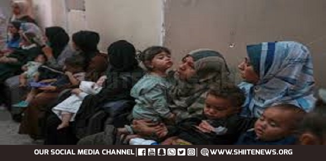 IOF deliberately kill, target Gaza displaced persons, aid seekers