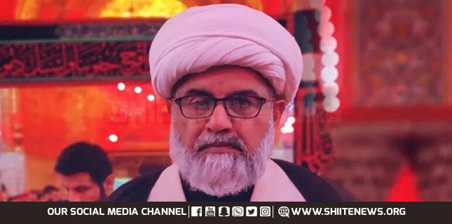 Karbala reminds us the pledge of unity and resistance, Senator Allama Raja Nasir Abbas