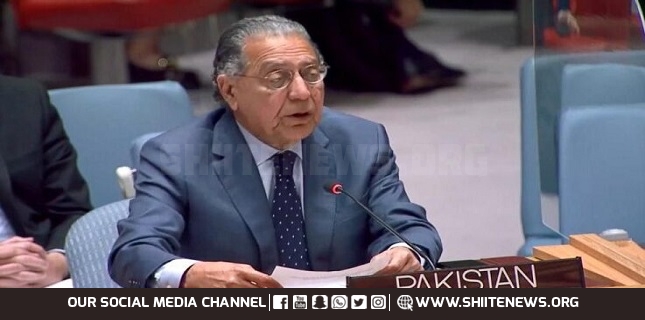 Will not give up supporting Palestine, speech by Pakistani delegate to the United Nations