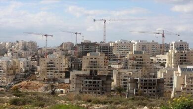 Egypt condemns Israeli annexation calls, West Bank violations