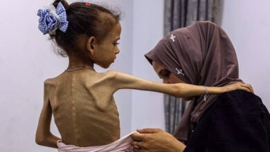 Gaza in ‘most dangerous stage of genocide’ as famine spreads Hamas