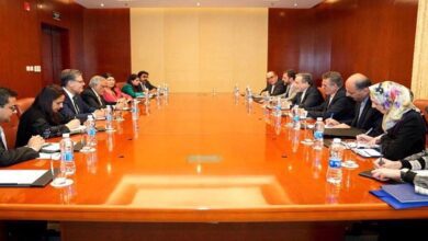 Iran FM hails Pakistan’s decisive support amid Israeli aggression