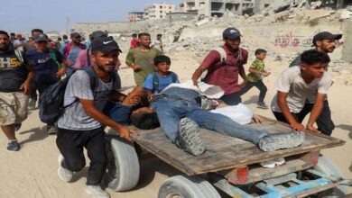 Israel ‘using thirst as a weapon to kill Palestinians’ in Gaza, UN experts say