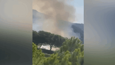 Israeli Drone Attack on Forest in Yater Town, South Lebanon, Causes Huge Fire
