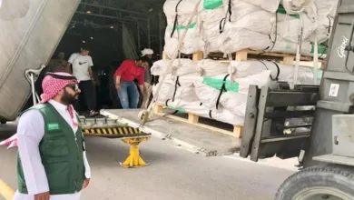 60th Saudi relief plane arrives in Egypt carrying food for Gazans
