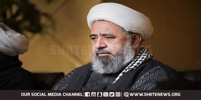 Allama Amin Shahidi lauds MWM’s Efforts and Achievements