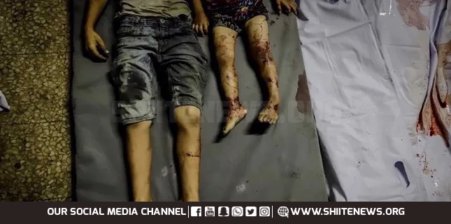 Foreign ministers of six European states condemn Israel's new Gaza offensive