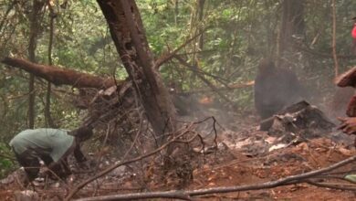 Helicopter crash in Ghana kills ministers of defense and environment and 6 others