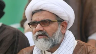 Hezbollah will not bow to pressure, Resistance will succeed Senator Allama Raja Nasir