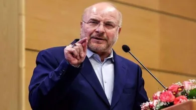 Iran’s Parliament speaker urges Muslim world’s unified action against Israeli crimes