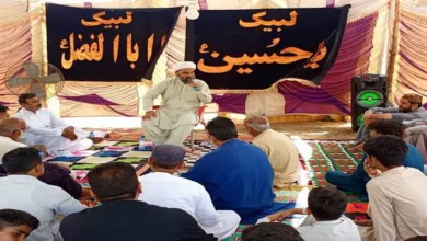 Progeny of Prophet Muhammad (PBUH) are truthful; Imam Ali (A.S) is greatest Siddiq Allama Domki