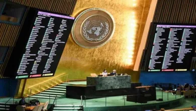 Saudi Arabia welcomes UN General Assembly vote on two-state solution